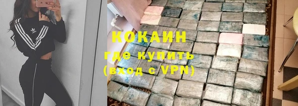 ешки Алексин