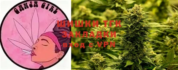 сатива Алексеевка