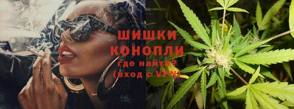 ПСИЛОЦИБИНОВЫЕ ГРИБЫ Алзамай