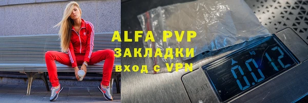 ешки Алексин
